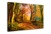 Príroda Obraz zs3269