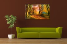 Príroda Obraz zs3269