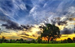 Obraz na stenu ZS - bez pomeru strán