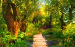 Obraz na stenu ZS - bez pomeru strán