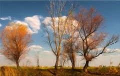 Obraz na stenu ZS - bez pomeru strán