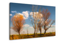 Krajina - Obraz zs3273