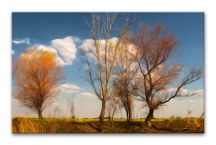 Krajina - Obraz zs3273