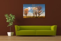 Krajina - Obraz zs3273