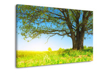 Krajina - Fotoobraz zs3274