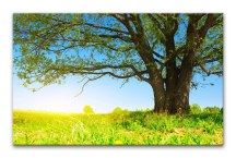 Krajina - Fotoobraz zs3274