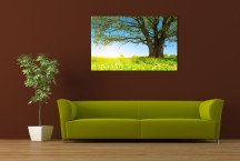 Krajina - Fotoobraz zs3274