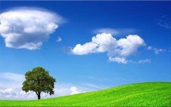 Obraz na stenu ZS - bez pomeru strán