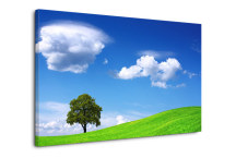 Obraz do interiéru - Príroda zs3276