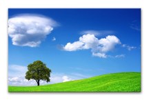 Obraz do interiéru - Príroda zs3276