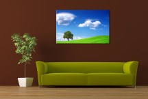 Obraz do interiéru - Príroda zs3276