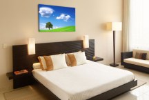 Obraz do interiéru - Príroda zs3276