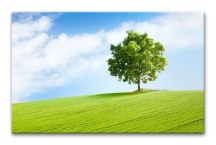 Obrazy - V prírode zs3277