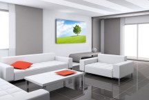 Obrazy - V prírode zs3277