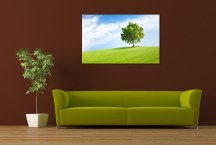 Obrazy - V prírode zs3277