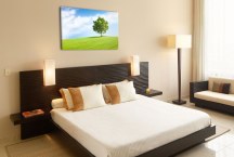 Obrazy - V prírode zs3277