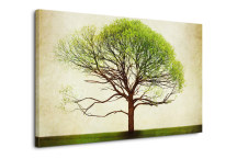 Strom - Obraz zs3278