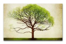 Strom - Obraz zs3278