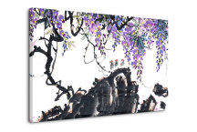 V prírode - Obraz zs3279