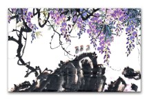 V prírode - Obraz zs3279