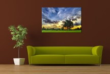 Krajina - Obraz na stenu zs327