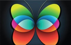 Obraz na stenu ZS - bez pomeru strán