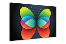 Obraz motýľ zs3286