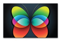 Obraz motýľ zs3286