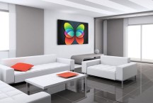 Obraz motýľ zs3286