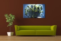 Zemeguľa - Obraz na stenu zs3289