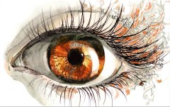 Obraz na stenu ZS - bez pomeru strán