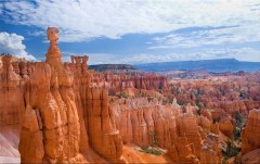 Obraz na stenu ZS - bez pomeru strán