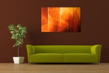 Obrazy Oranžové zs3313