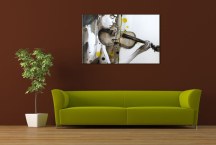 Obraz Huslistka zs3314