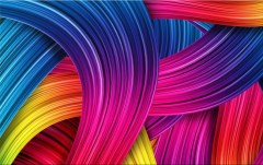 Obraz na stenu ZS - bez pomeru strán