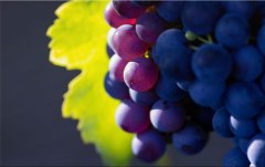 Obraz na stenu ZS - bez pomeru strán