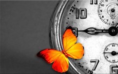 Obraz na stenu ZS - bez pomeru strán