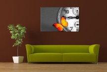 Obraz Motýľ a čas zs3340