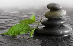 Obraz na stenu ZS - bez pomeru strán