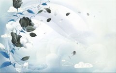 Obraz na stenu ZS - bez pomeru strán