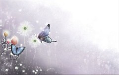 Obraz na stenu ZS - bez pomeru strán