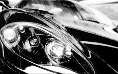 Obraz na stenu ZS - bez pomeru strán