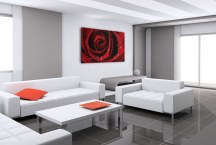 Červená ruža Obraz zs343