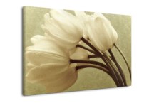 Tulipány Obraz zs345