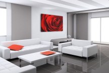 Obraz Ruža červená zs348