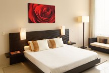 Obraz Ruža červená zs348