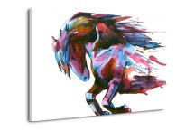 Obraz Kôň zs353