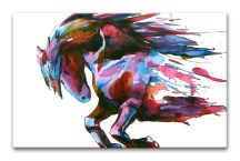 Obraz Kôň zs353