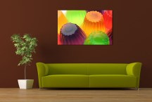 Obrazy do kuchyne - Želé zs360