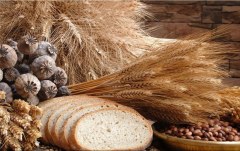 Obraz na stenu ZS - bez pomeru strán